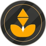 b gold network android application logo